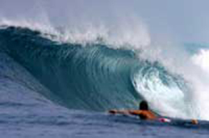 mentawai2